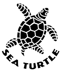 Sea Turtle