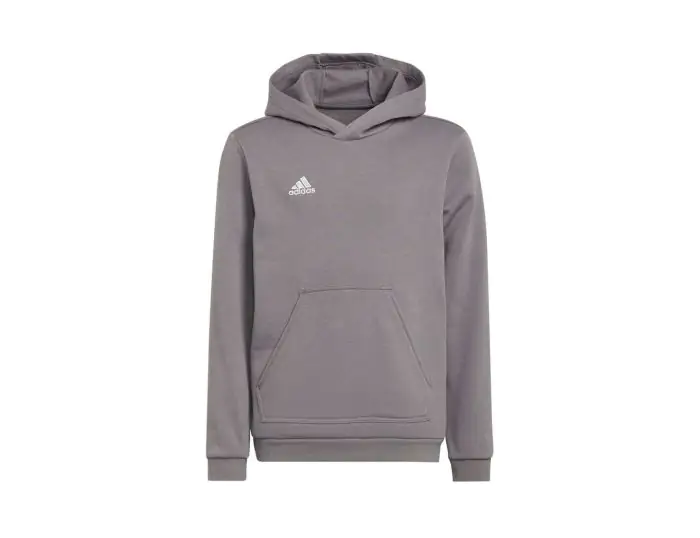 adidas Entrada 22 Hoodie Youth Grijze Trui Kids Avantisport