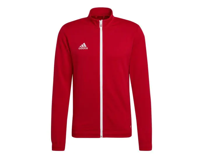 Teamkleding adidas on sale