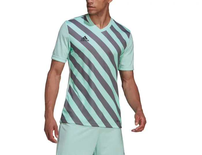 adidas Entrada 22 GFX Jersey Heren Voetbalshirt Avantisport