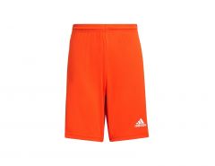 adidas - Squadra 21 Shorts Youth - Kids Teamwear