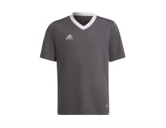 adidas - Entrada 22 Jersey Youth - Grey Sports Shirt