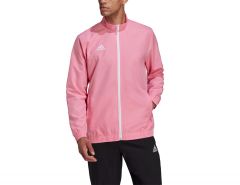 adidas - Entrada 22 Presentation Jacket - Pink Jacket Men