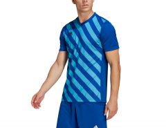 adidas - Entrada 22 GFX Jersey - Blue Jersey