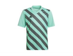 adidas - Entrada 22 GFX Jersey Youth - Kids Shirt