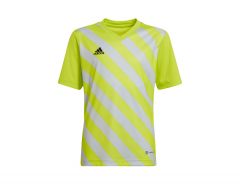 adidas - Entrada 22 GFX Jersey Youth - Green Football Jersey